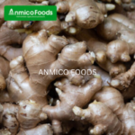 Ginger Slice - Image 4