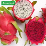 Dragon Puree - Image 2