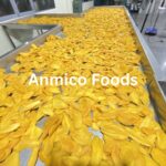 Dried Mango - Image 7