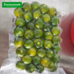 Frozen Kumquat