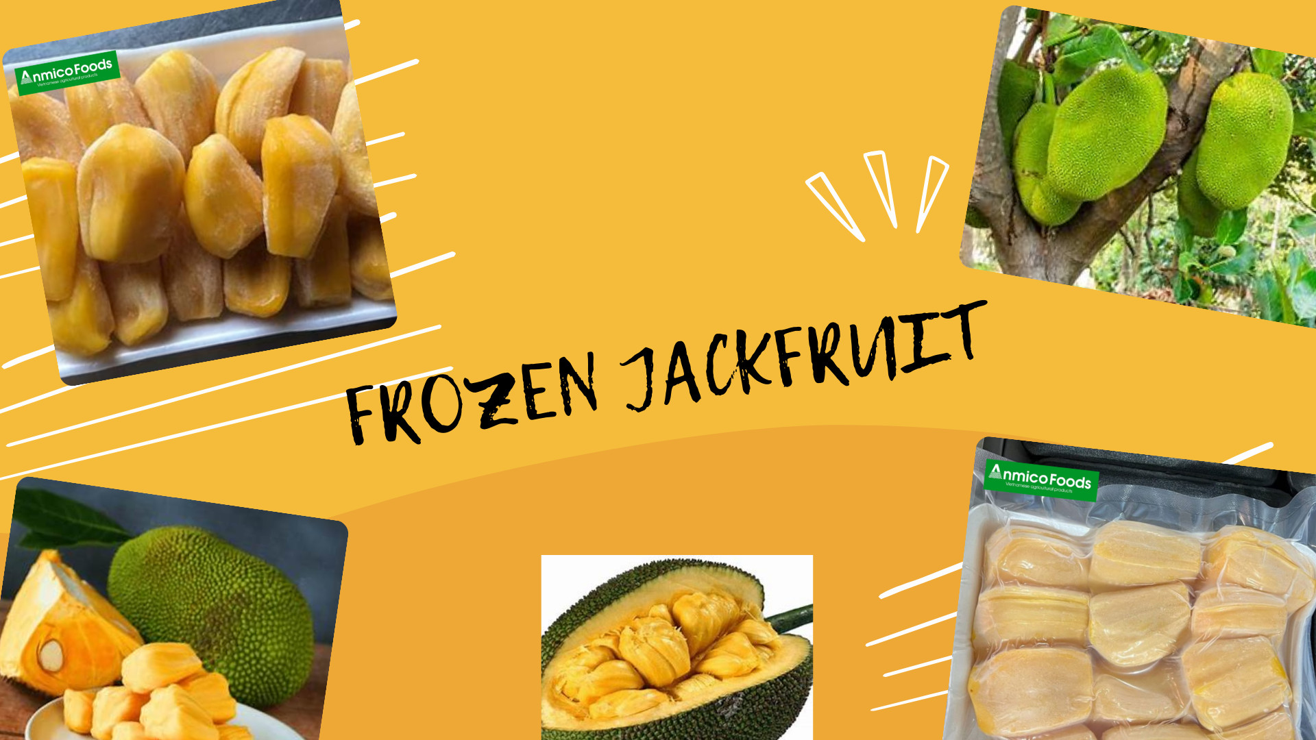 Frozen jackfruit anmicofood